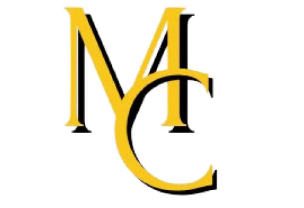 mcvtc-vtc-chauffeur-prive-vip-premium-perpignan-66-taxi-transport-trajet-pyrénées-orientales-taxi